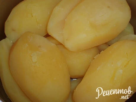 Ѹ  