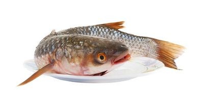 пеленгас пеленгас