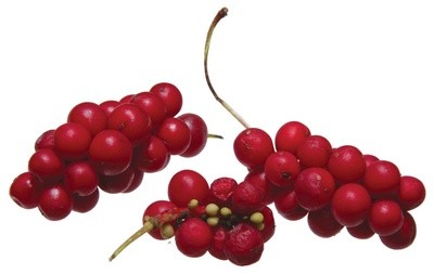 лимонник лимонник